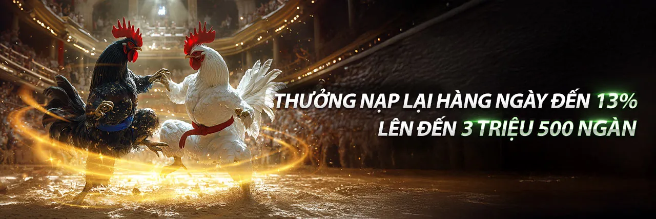 Đấu trường đá gà SV388 tốt nhất